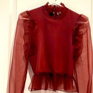 NWOT- Transparent Sleeves Blouse for Evenings wears